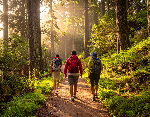 Adventure Hiking Trail